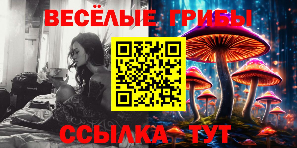 Галлюциногенные грибы мухоморы Прокопьевск