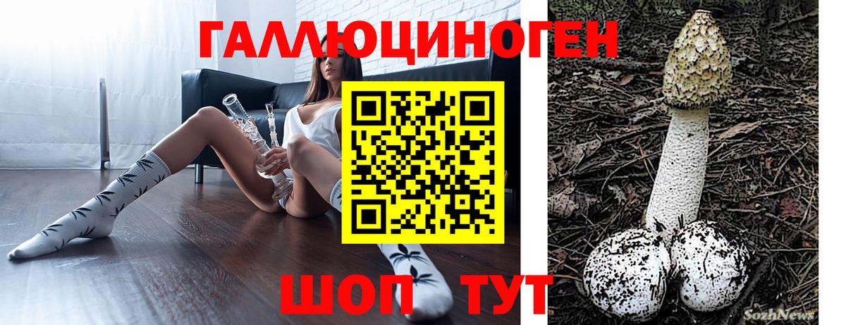 Прокопьевск  Псилоцибиновые грибы Cubensis  сколько стоит  Вход с VPN 
